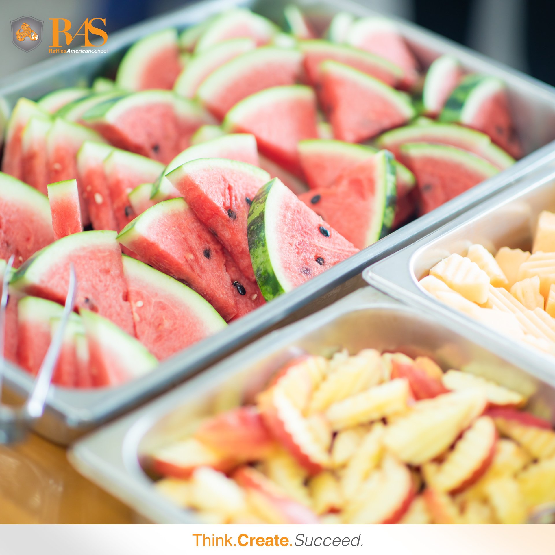 462761798_1110482377216349_2983114972555599723_n