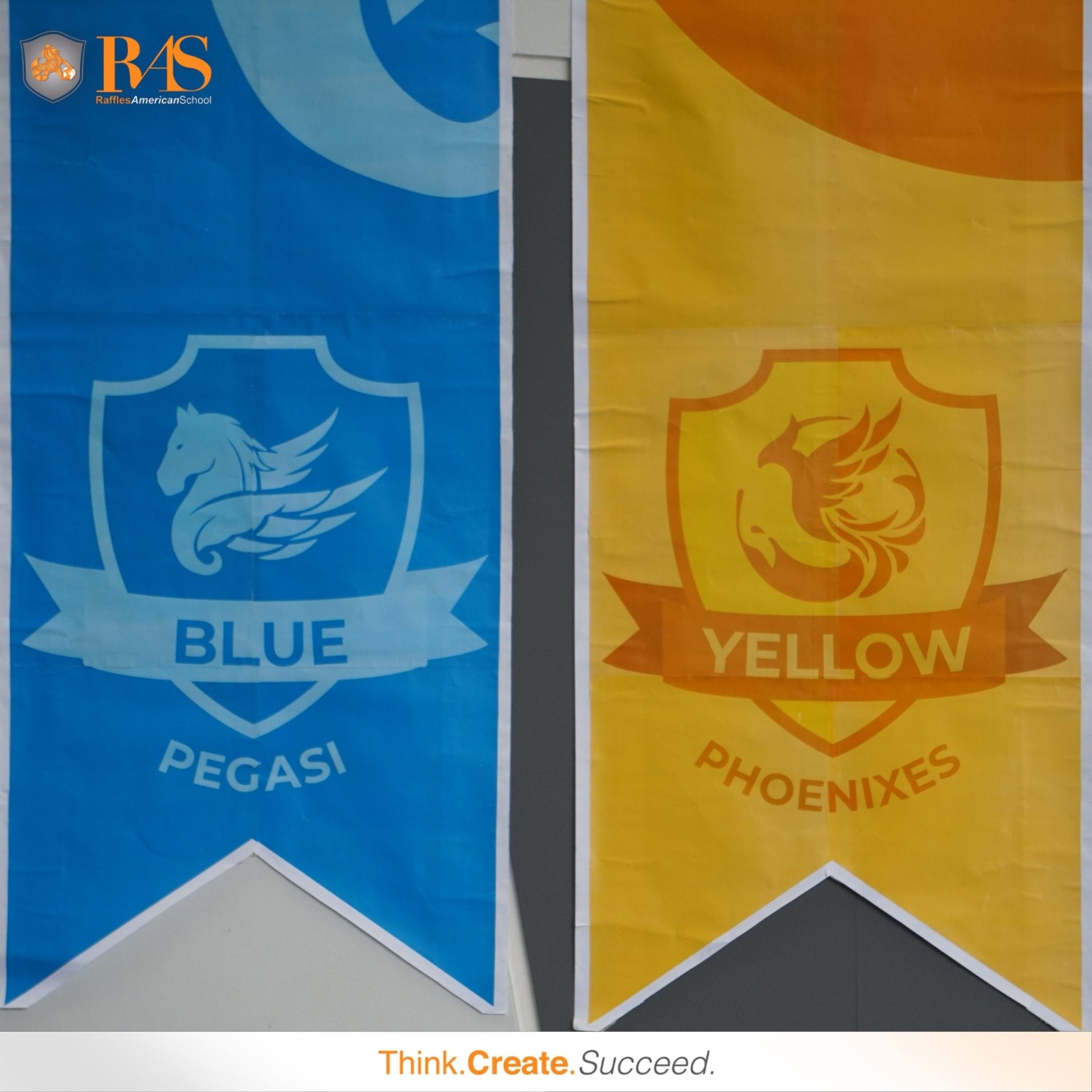 467863110_1143483247249595_5675356682544640698_n