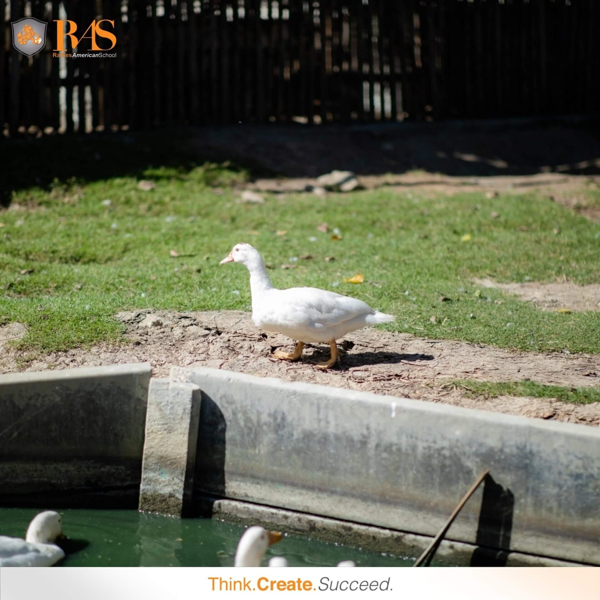 469246677_1152146539716599_2964247721595825892_n