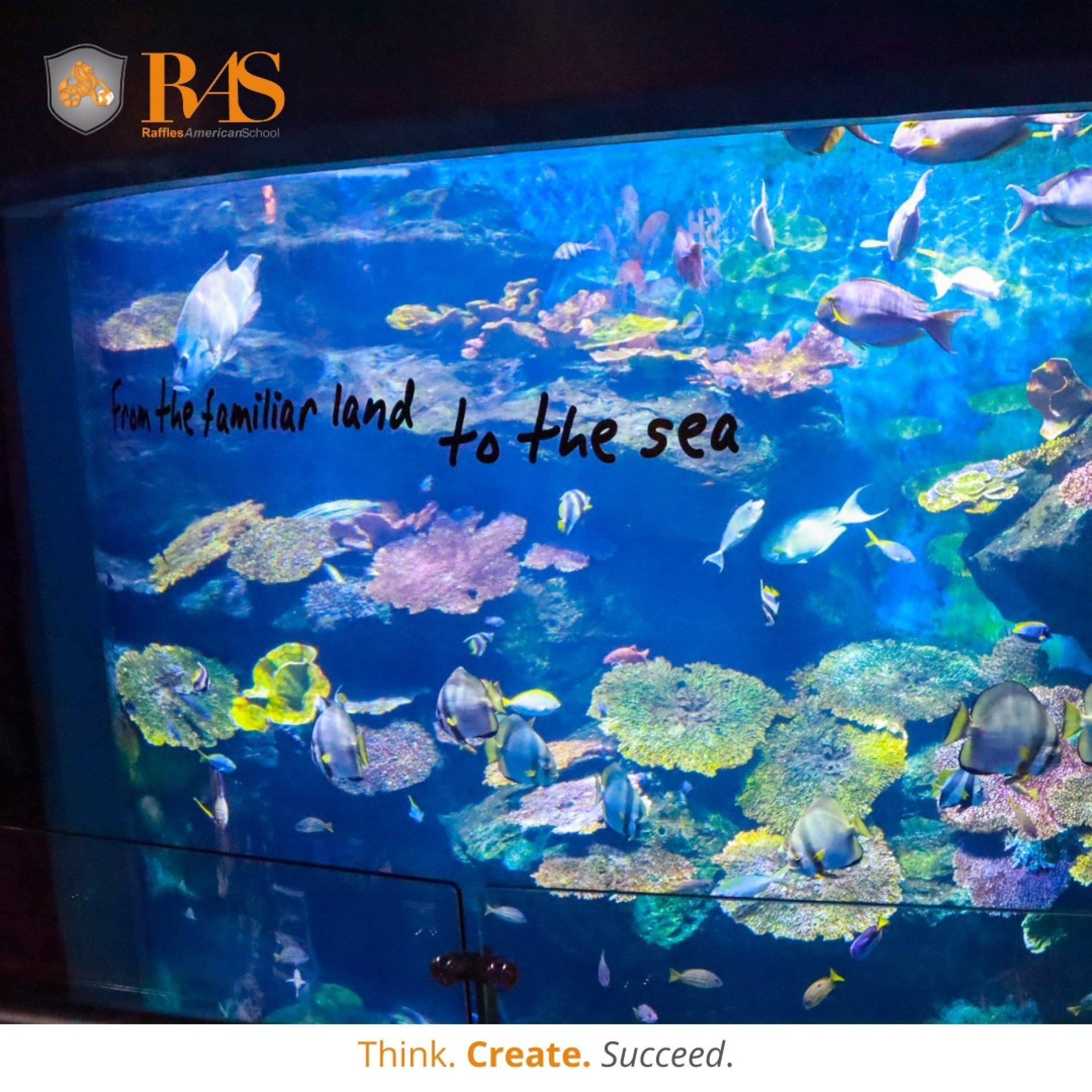 470672535_1163926875205232_8684619419978960750_n